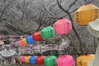 팔공산 등산길