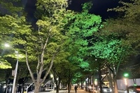 수성못