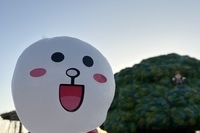 솜사탕2